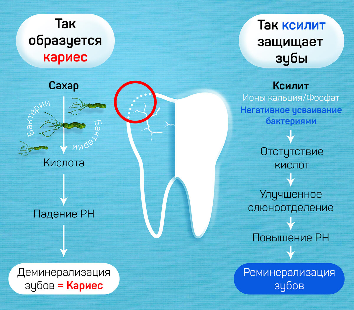 Ксилит: сахарозаменитель для здоровья зубов и не только