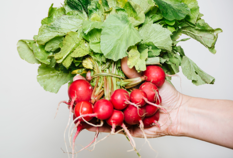 Подробнее о статье Редис: полезный овощ с вашего огорода